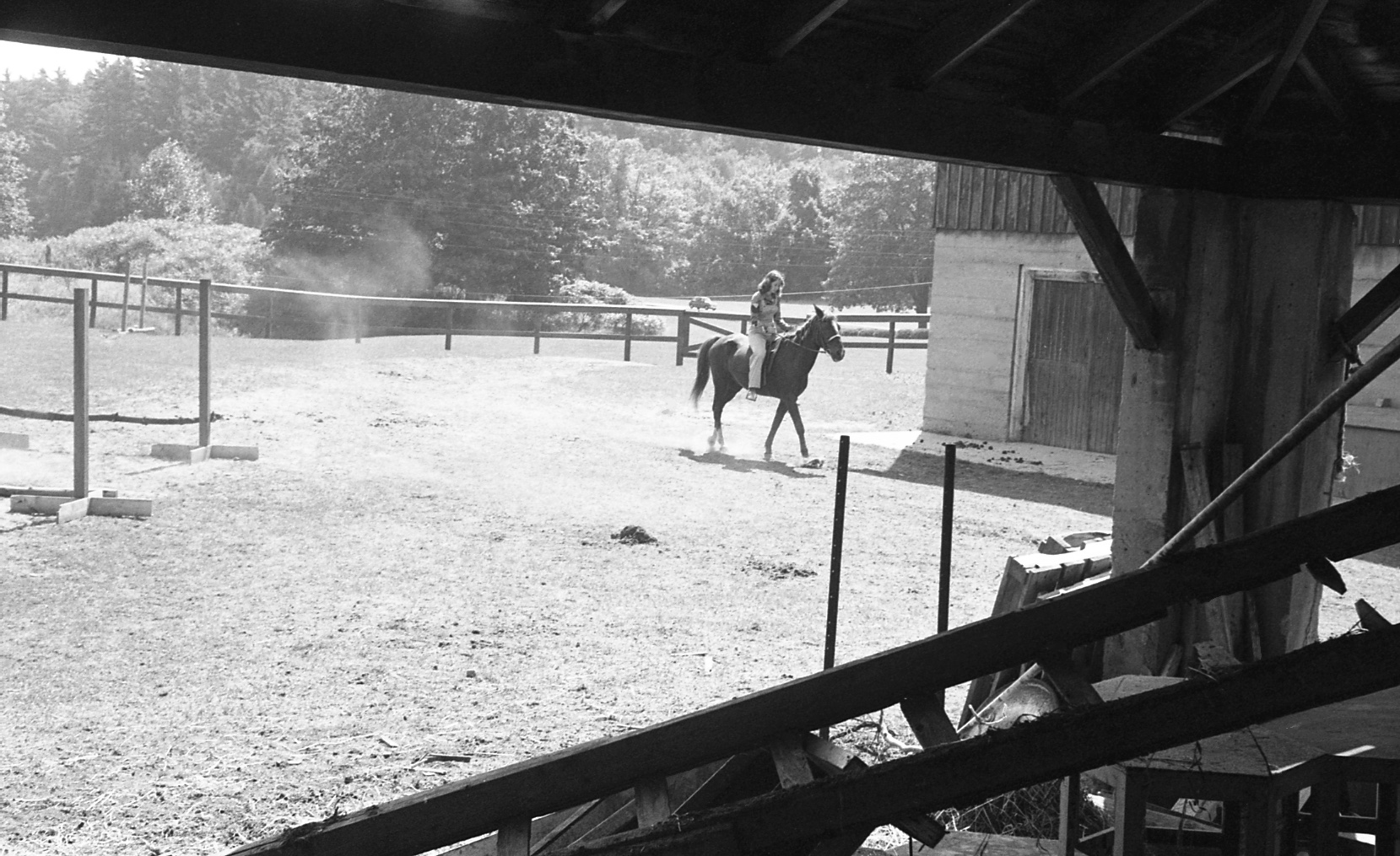 Student on Horse from Inside Stable